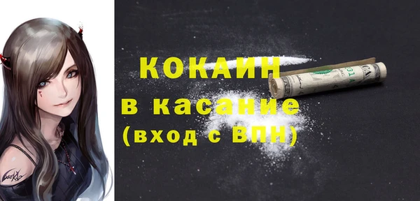 твердый Богородицк