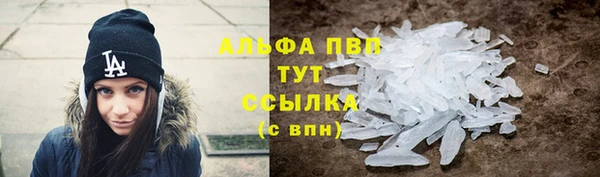 стаф Богородск
