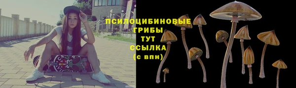 стаф Богородск
