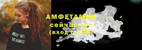 стаф Богородск
