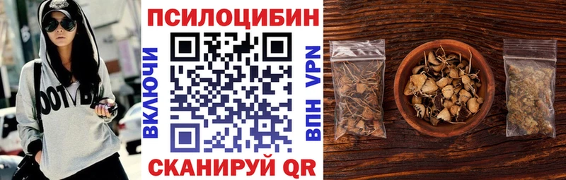 Псилоцибиновые грибы Magic Shrooms закладка Котельнич
